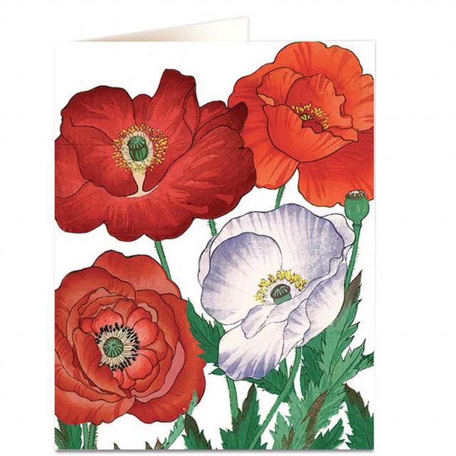 Archivist Cards Wenskaart - Poppies